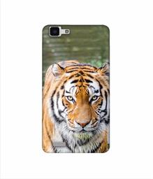 Amazon Brand - Solimo Designer Tiger in Water 3D Printed Hard Back Case Mobile Cover for Vivo Y27L