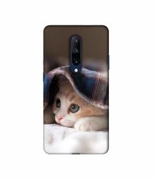 Amazon Brand - Solimo Designer Sleepy Kitten 3D Printed Hard Back Case Mobile Cover for OnePlus 7 Pro