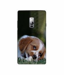 Amazon Brand - Solimo Designer Cute Puppy 3D Printed Hard Back Case Mobile Cover for OnePlus 2