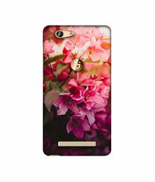 Amazon Brand - Solimo Designer Blossom Weather 3D Printed Hard Back Case Mobile Cover for Gionee F103 Pro