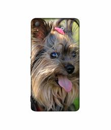 Amazon Brand - Solimo Designer Hairy Puppy 3D Printed Hard Back Case Mobile Cover for Sony Xperia Z3 Plus / Z4