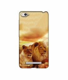 Amazon Brand - Solimo Designer Lion with Lioness 3D Printed Hard Back Case Mobile Cover for Xiaomi Mi 4i