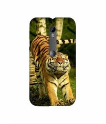 Amazon Brand - Solimo Designer Tiger 3D Printed Hard Back Case Mobile Cover for Motorola Moto G 3rd Generation