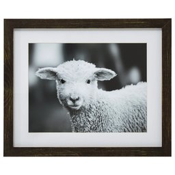 Amazon Brand – Stone & Beam Modern Black and White Lamb Photo Wall Art Decor - 18 x 22 Inch Frame, Rustic Brown