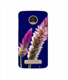 Amazon Brand - Solimo Designer Wheat Flower 3D Printed Hard Back Case Mobile Cover for Motorola Moto Z Play