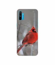 Amazon Brand - Solimo Designer Red Engry Bird 3D Printed Hard Back Case Mobile Cover for Realme C3