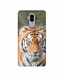 Amazon Brand - Solimo Designer Tiger in Water 3D Printed Hard Back Case Mobile Cover for Huawei Mate 9