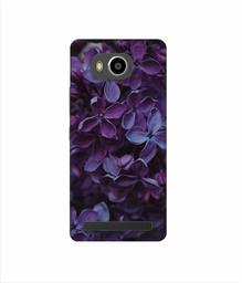 Amazon Brand - Solimo Designer Purple Flowers 3D Printed Hard Back Case Mobile Cover for Lenovo A7700