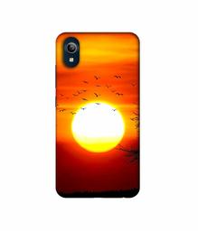 Amazon Brand - Solimo Designer Sunset View 3D Printed Hard Back Case Mobile Cover for Vivo Y91i