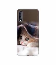 Amazon Brand - Solimo Designer Sleepy Kitten 3D Printed Hard Back Case Mobile Cover for Samsung Galaxy A70