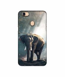 Amazon Brand - Solimo Designer Elephant 3D Printed Hard Back Case Mobile Cover for Oppo F5