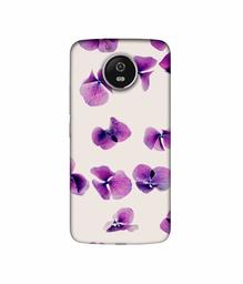 Amazon Brand - Solimo Designer Lily Petal 3D Printed Hard Back Case Mobile Cover for Motorola Moto G5