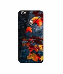 Amazon Brand - Solimo Designer Autumn Leaf 3D Printed Hard Back Case Mobile Cover for LeTV Le 1s