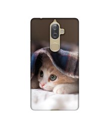 Amazon Brand - Solimo Designer Sleepy Kitten UV Printed Soft Back Case Mobile Cover for Lenovo K8 Plus