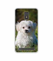 Amazon Brand - Solimo Designer White Dog UV Printed Soft Back Case Mobile Cover for Lenovo A6600