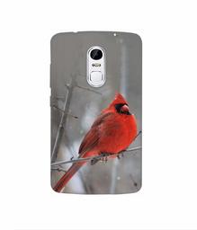 Amazon Brand - Solimo Designer Red Engry Bird 3D Printed Hard Back Case Mobile Cover for Lenovo Vibe X3