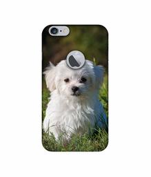 Amazon Brand - Solimo Designer White Dog UV Printed Soft Back Case Mobile Cover for Apple iPhone 6 Plus / 6S Plus (Logo Cut)