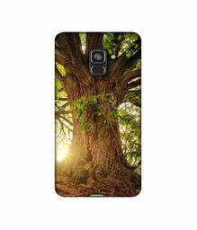 Amazon Brand - Solimo Designer Tree Trunk 3D Printed Hard Back Case Mobile Cover for Samsung Galaxy A8 Plus