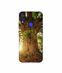 Amazon Brand - Solimo Designer Tree Trunk 3D Printed Hard Back Case Mobile Cover for Xiaomi Redmi Note 7 Pro