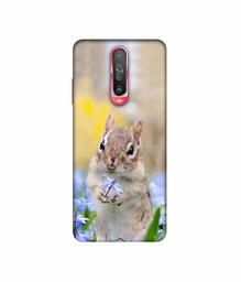 Amazon Brand - Solimo Designer Squirrel 3D Printed Hard Back Case Mobile Cover for Poco X2 / Mi Redmi K30