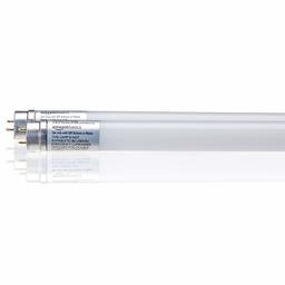 AmazonBasics Professional T8 LED Tube 600mm, 800lumens, 8W (Equivalent to 18W), Cool White, 6500K, G13 - Pack of 2