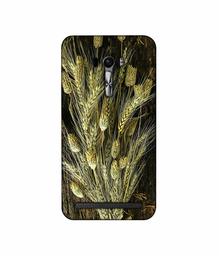 Amazon Brand - Solimo Designer Wheat Plants 3D Printed Hard Back Case Mobile Cover for Asus Zenfone Selfie ZD551KL