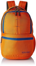 Amazon Brand - Solimo 25 Ltrs Orange Casual Backpack