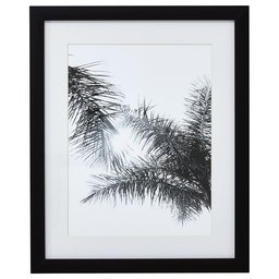 Amazon Brand – Stone & Beam Modern Black and White Tropical Palm Branches Photo Wall Art Decor - 18 x 22 Inch Frame, Black