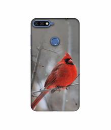 Amazon Brand - Solimo Designer Red Engry Bird 3D Printed Hard Back Case Mobile Cover for Huawei Honor 7A