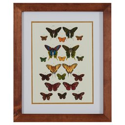 Stone & Beam Modern Green and Gold Butterfly Print