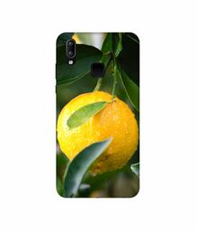 Amazon Brand - Solimo Designer Lemon 3D Printed Hard Back Case Mobile Cover for Vivo Y95