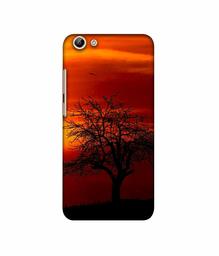 Amazon Brand - Solimo Designer Nature View 3D Printed Hard Back Case Mobile Cover for Vivo Y69