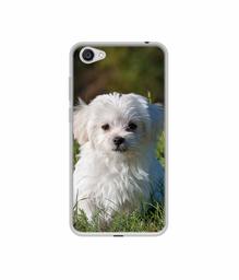 Amazon Brand - Solimo Designer White Dog UV Printed Soft Back Case Mobile Cover for Vivo Y55