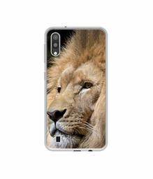 Amazon Brand - Solimo Designer Lion UV Printed Soft Back Case Mobile Cover for Samsung Galaxy M10