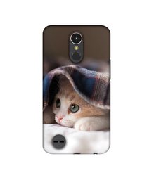 Amazon Brand - Solimo Designer Sleepy Kitten UV Printed Soft Back Case Mobile Cover for LG K10 (2017)