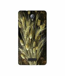 Amazon Brand - Solimo Designer Wheat Plants 3D Printed Hard Back Case Mobile Cover for Micromax Canvas Pace 4G Q416