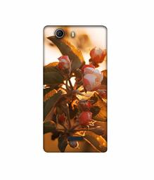 Amazon Brand - Solimo Designer Flowers 3D Printed Hard Back Case Mobile Cover for Micromax Canvas Nitro 2 E311