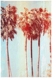 Amazon Brand – Rivet Vintage-Look Palm Trees Turquoise and Sepia Canvas Print Wall Art , 24