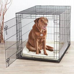 AmazonBasics Single-Door Dog Crate and Padded Bolster Bed - Large