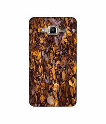 Amazon Brand - Solimo Designer Dry Leafs 3D Printed Hard Back Case Mobile Cover for Samsung Galaxy J2 Prime