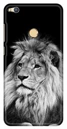 Amazon Brand - Solimo Designer Lion Design 3D Printed Hard Back Case Mobile Cover for Huawei Honor 8 Lite