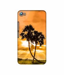 Amazon Brand - Solimo Designer SunSide View 3D Printed Hard Back Case Mobile Cover for Micromax Canvas Fire 4 A107