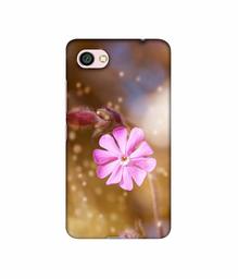 Amazon Brand - Solimo Designer Pink Flower 3D Printed Hard Back Case Mobile Cover for Xiaomi Redmi Y1 Lite