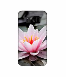 Amazon Brand - Solimo Designer Lotus 3D Printed Hard Back Case Mobile Cover for Samsung Galaxy S8 Plus