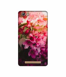 Amazon Brand - Solimo Designer Blossom Weather 3D Printed Hard Back Case Mobile Cover for Gionee Marathon M5 lite