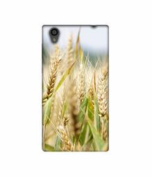 Amazon Brand - Solimo Designer Wheat Plant 3D Printed Hard Back Case Mobile Cover for Sony Xperia L1