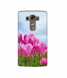 Amazon Brand - Solimo Designer Pink Lily 3D Printed Hard Back Case Mobile Cover for LG G4 Stylus