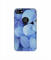 Amazon Brand - Solimo Designer Light Blue Flower Photography 3D Printed Hard Back Case Mobile Cover for Apple iPhone 7 (with Logo Cut)