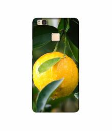 Amazon Brand - Solimo Designer Lemon 3D Printed Hard Back Case Mobile Cover for Huawei P9 lite