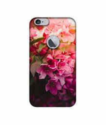 Amazon Brand - Solimo Designer Blossom Weather UV Printed Soft Back Case Mobile Cover for Apple iPhone 6 Plus / 6S Plus (Logo Cut)